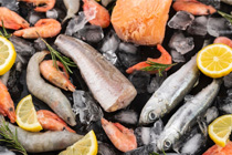 Рыба и морепродукты